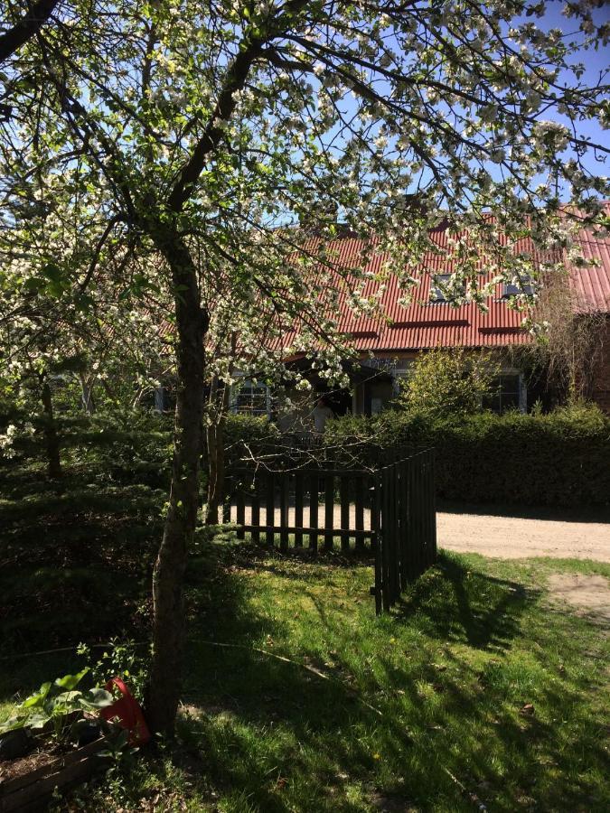 Satnatorium Bed & Breakfast Tuczno Luaran gambar